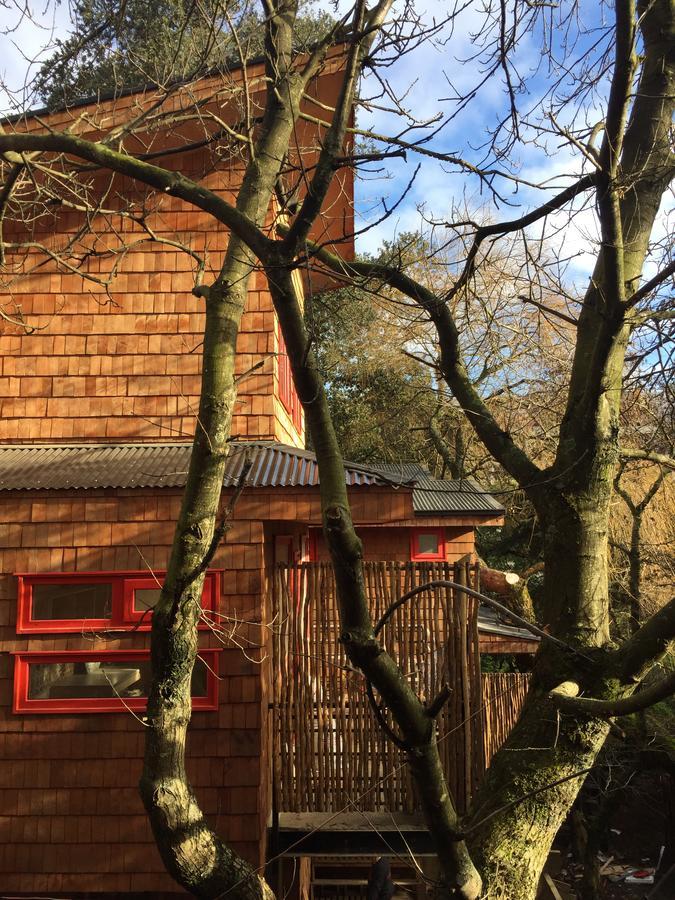 Almabosque Cabanas Puerto Varas Bagian luar foto