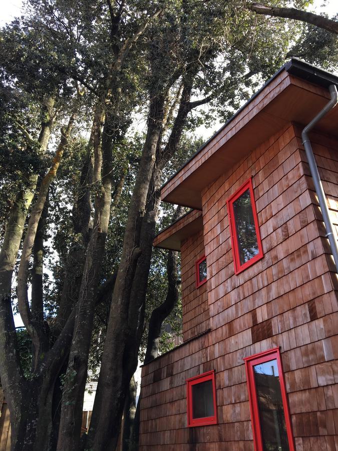 Almabosque Cabanas Puerto Varas Bagian luar foto