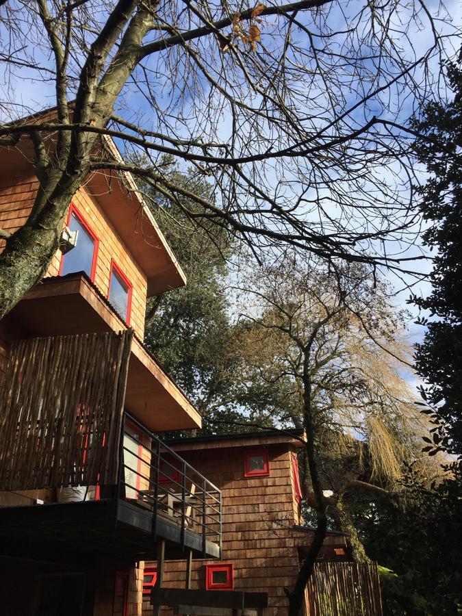 Almabosque Cabanas Puerto Varas Bagian luar foto