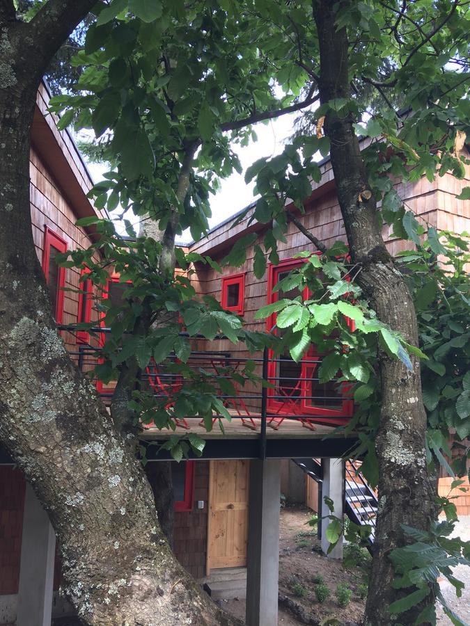 Almabosque Cabanas Puerto Varas Bagian luar foto
